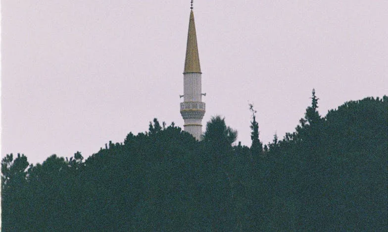 Сама срещу света: Историята на Антония и нейната борба за майчинство