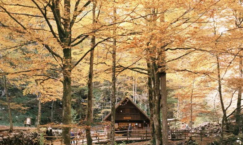 Тайната на Марко: Истината, която разкъса семейството ми