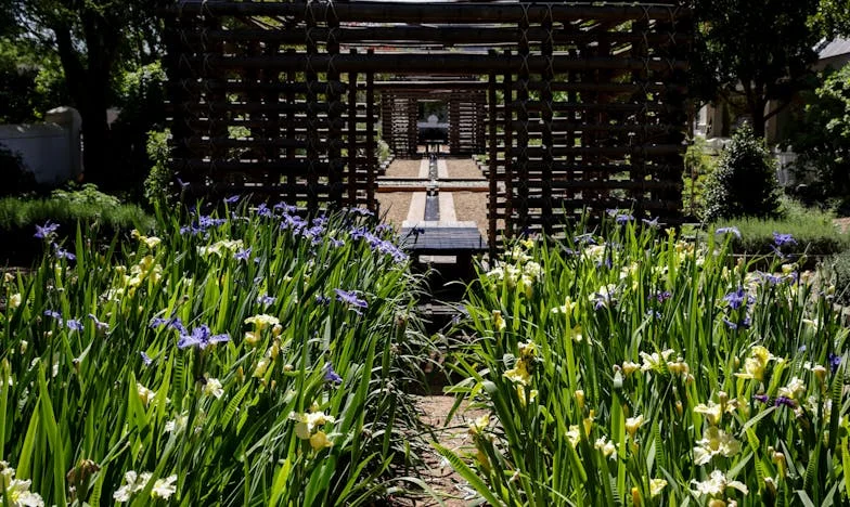 Тайните белези на Мария: Когато любовта се сблъска със страха