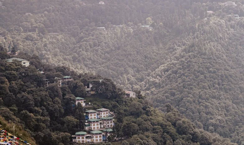 Всеки ден готвя наново, защото мъжът ми не яде остатъци – любов ли е това или саможертва без край?