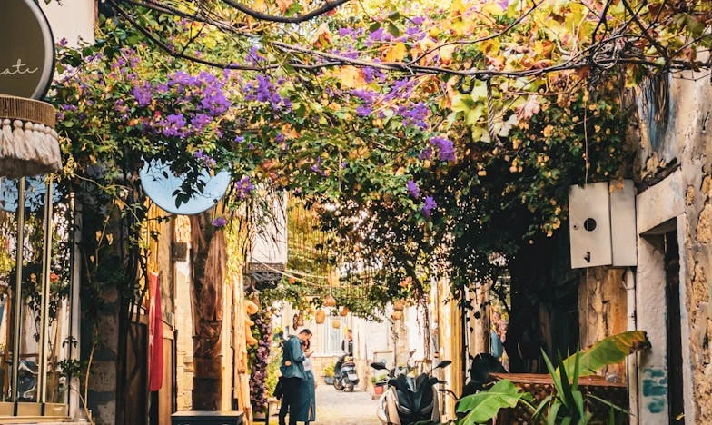 Звънецът на вратата: Изповедта на една свекърва – история за загуба, предателство и прошка