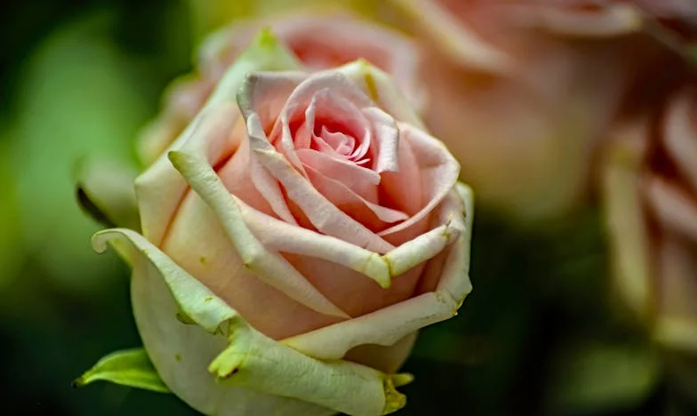 Дъждовна нощ и сенките на истината: Изповедта на една българска майка