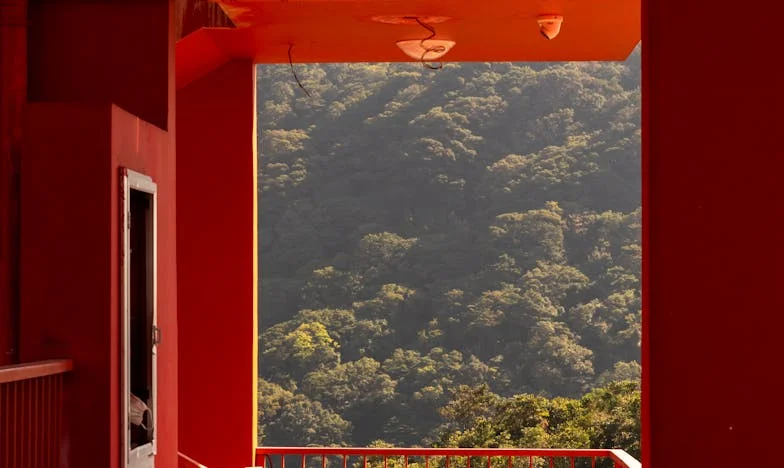 Два пъти разбито сърце: Как можах да се доверя на собствената си майка?