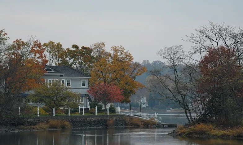 Дванадесет години мълчание: Истината, която не исках да чуя от внучка си