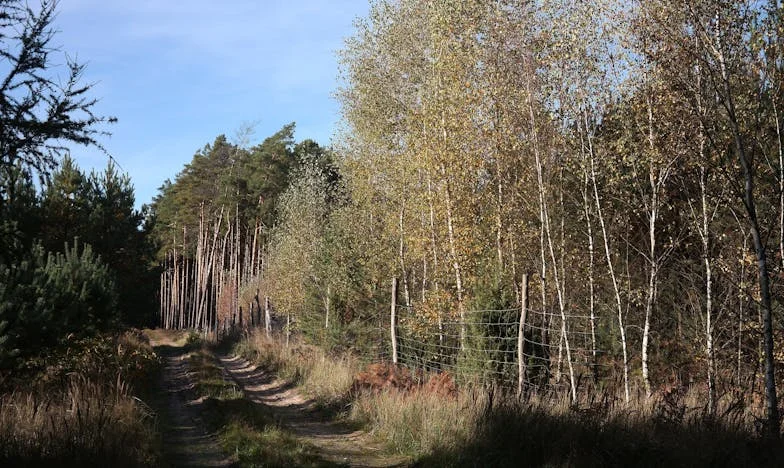 Дядо Петър – последният герой на нашата улица
