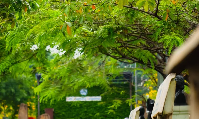 Как можеш да не ме виждаш? Историята на една българска майка, изгубена в собственото си семейство