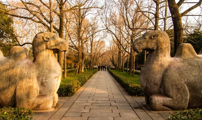 Каша за вечеря и тишина зад вратата: Историята на едно софийско семейство