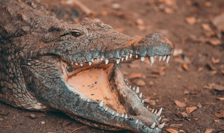 Когато доброто се обръща срещу теб: Историята на една снаха и нейната свекърва