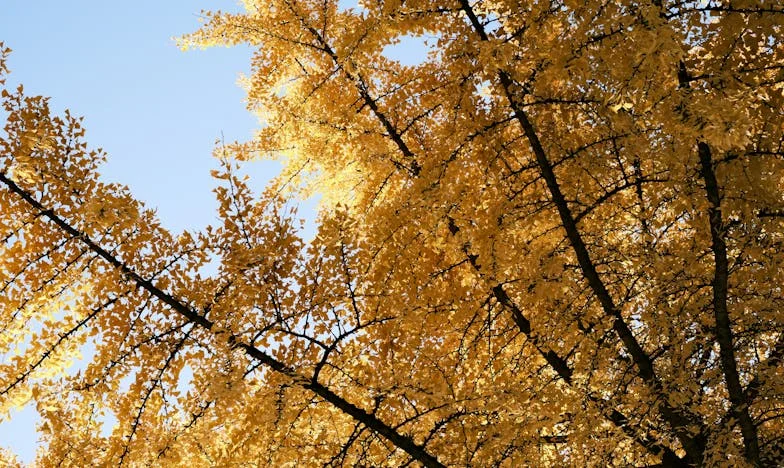 Когато родителите си отидат, ще съжаляваш: Молбата на една съпруга