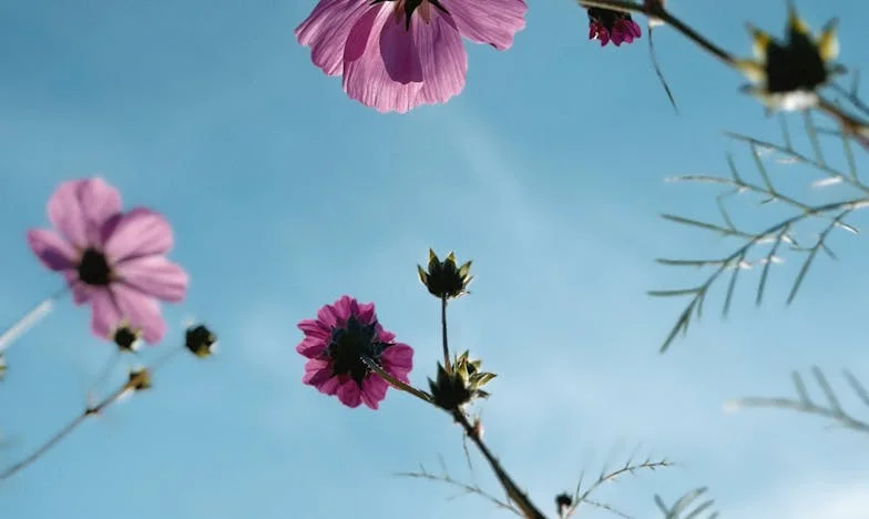 Майчинство: Сметка или Любов? – Един сватбен подарък, който промени всичко