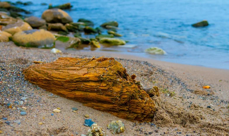 Майка или просто наследство: Историята на една самотна душа в София