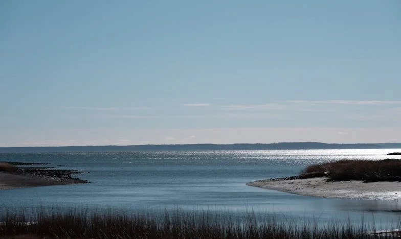 Далеч от корените: Историята на едно завръщане