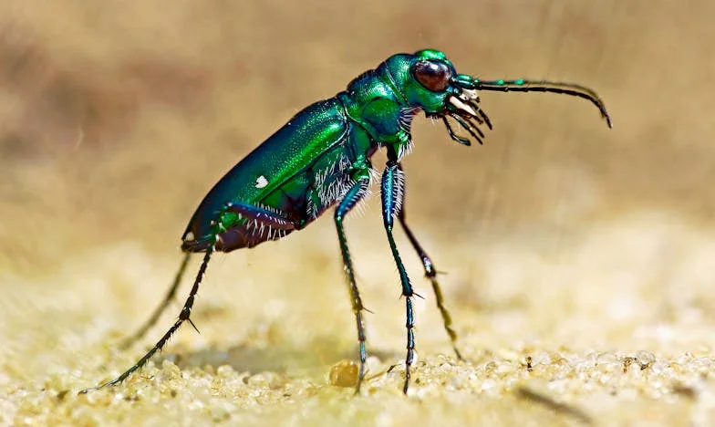Денят, в който свекърва ми ме нарече „дъще“