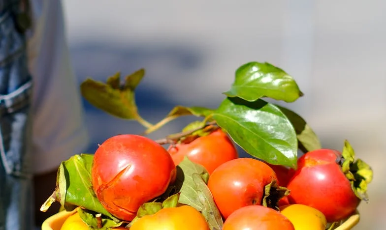 Когато гостите не искат да си тръгнат: Една Великденска буря, която промени всичко