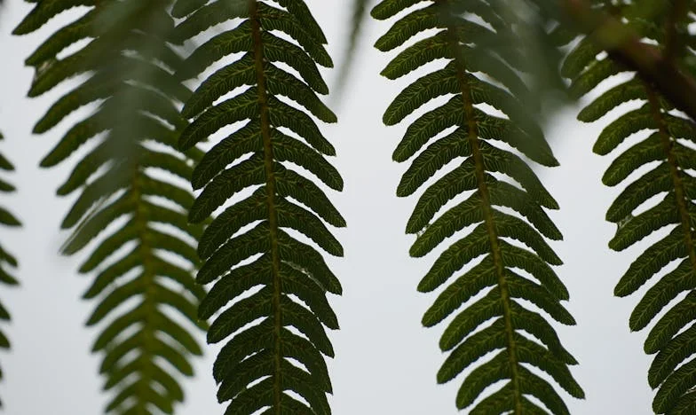 Когато семейството се разпада: Изповедта на една майка, която изгуби сина си заради снаха си