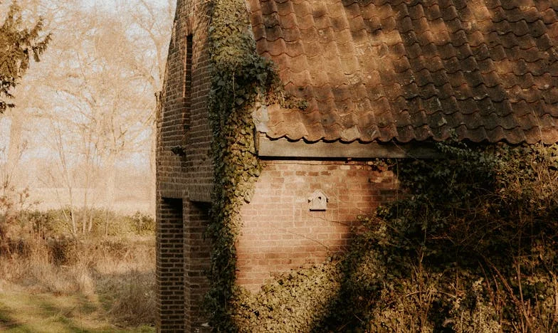 Когато семейството те задушава: История за пари, лоялност и граници