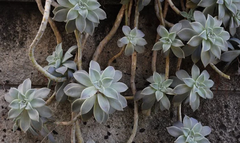 Когато семейството ти обърне гръб: Нощта, в която станах чужда сред своите