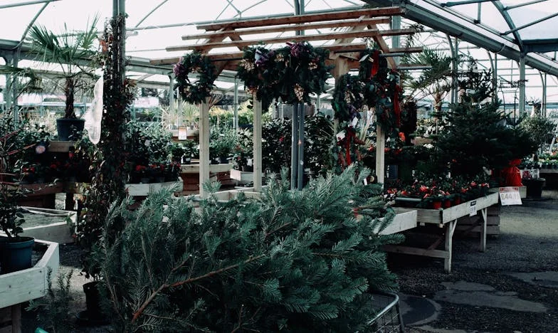 Когато всичко се срути: Българската дъщеря, която искаше да бъде видяна