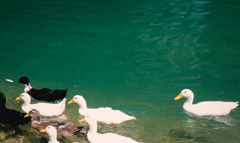 Майка със Счупено Сърце: Изчезването на Надгробния Паметник на Моя Син и Истината, Която Разтърси Селото