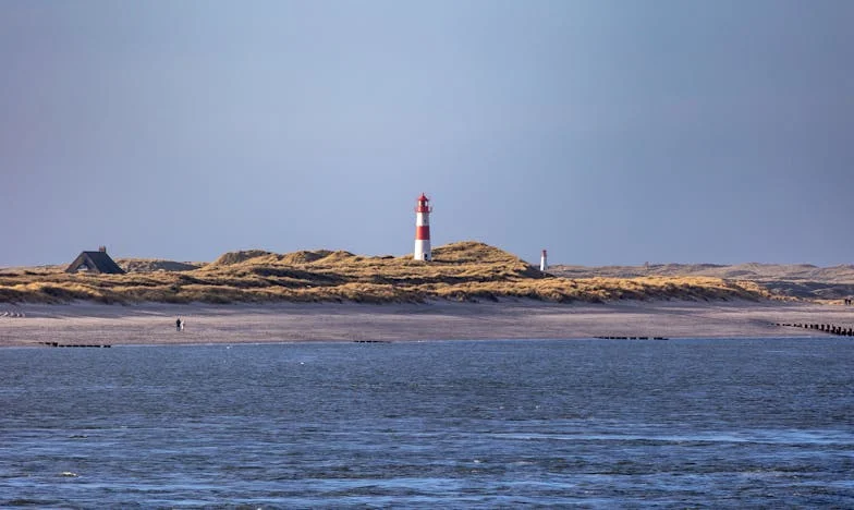 Неделен обяд, който разтърси семейството ми: Кога мълчанието е предателство към детето ти?