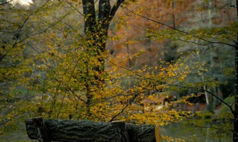 Невидимата тежест на любовта: Историята на Мария и Ева