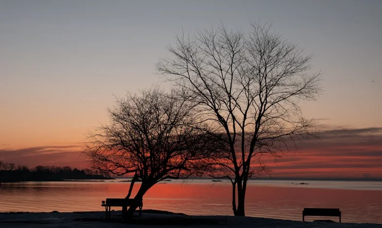Всеки ден готвя отново, защото Иван отказва остатъци: Кога ще бъда чута?
