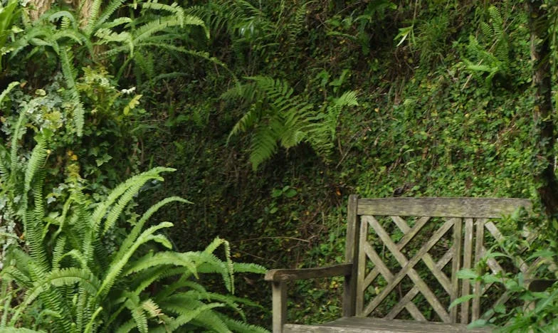 Всички знаеха, освен мен: Живот между лъжи в панелен блок в Люлин