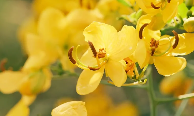 Жертвахме всичко за децата си: Заслужавам ли това неуважение?