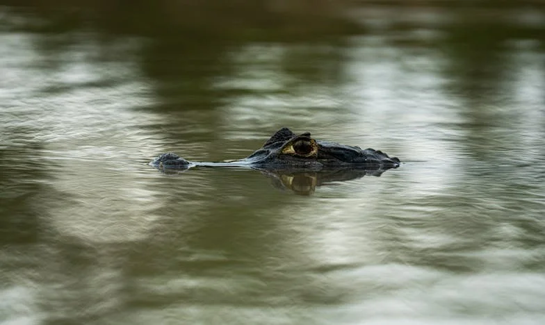 Денят, в който не бях желана: рожден ден без баба