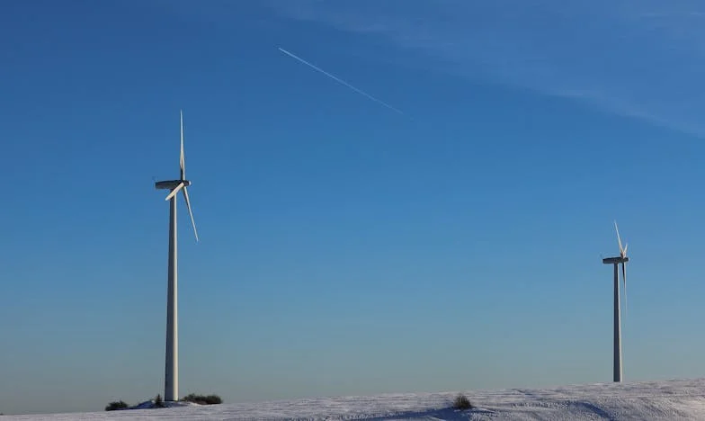 Когато чуждият дом стане твой: Историята на една неканена гостенка