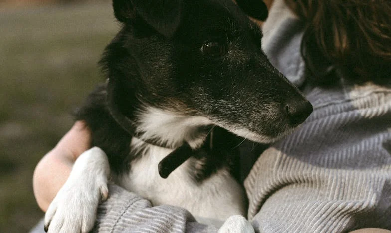 „Няма да те пусна в апартамента си, защото никога няма да се отърва от теб!“ — Историята на една снаха и нейната свекърва