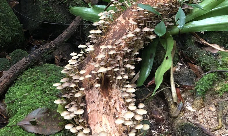 Съседката от надеждата: Как Мария ме спаси от самотата