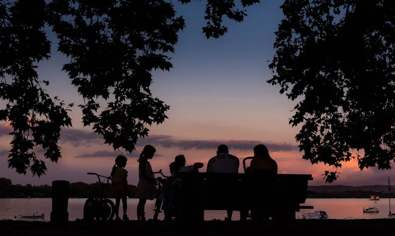 Баща ми, моят избор: Непростимият въпрос