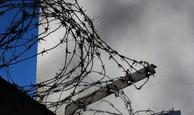 Коледа, която не се случи – историята на това как избрах себе си