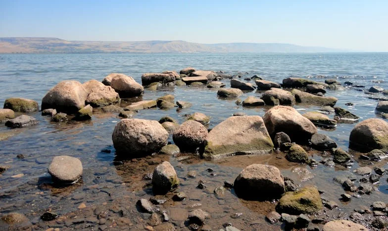 Между два свята: Историята на една баба, която не може да види внука си