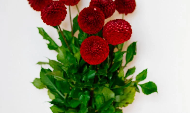 Ако знаех, че снаха ми е такава змия, щях да се държа различно с нея от самото начало