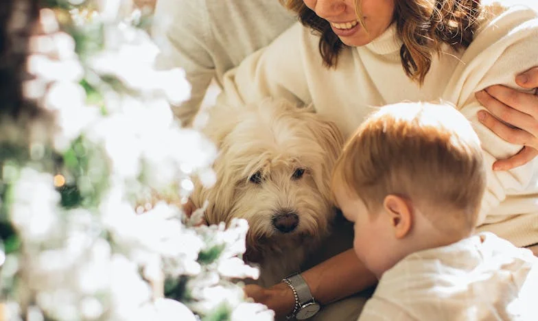 Четиридесет години – спомени и битки на българската трапеза