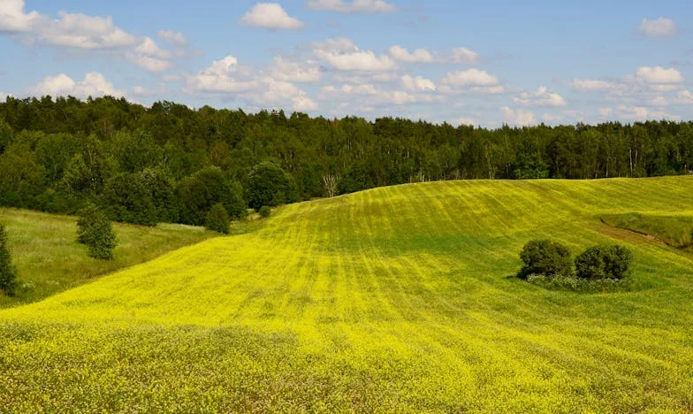 Дъщеря ми носи Versace, аз нося анцуг от пазара. Лоша майка ли съм?