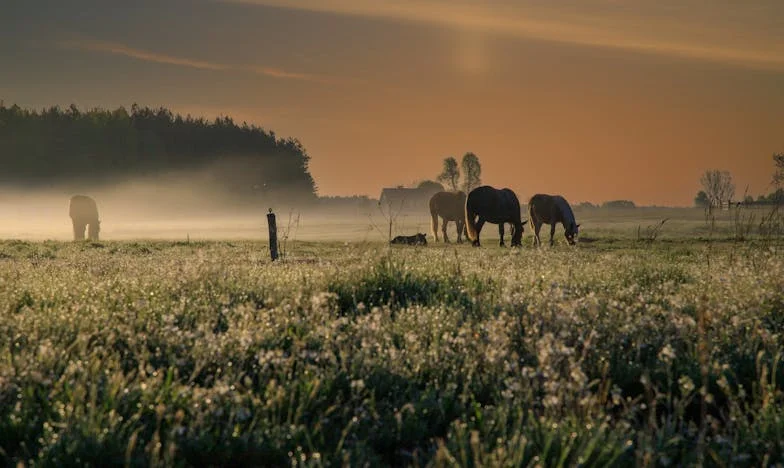 Една дума, която промени всичко: Историята на Мария
