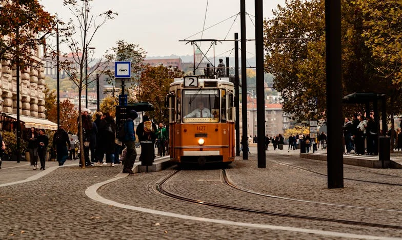 Греховете на бащите: Истината на семейния барбекю