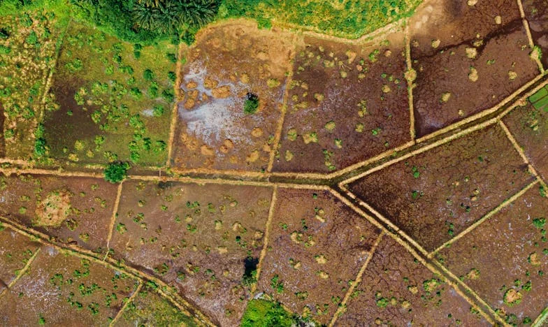 Когато бях изгонена от собствената си ресторант: История за гордостта, семейството и истината