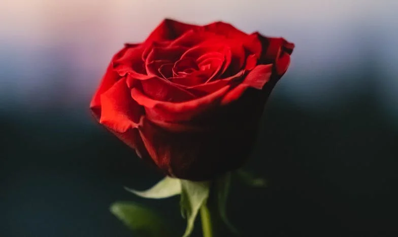 Между два свята: Една Коледа, която промени всичко