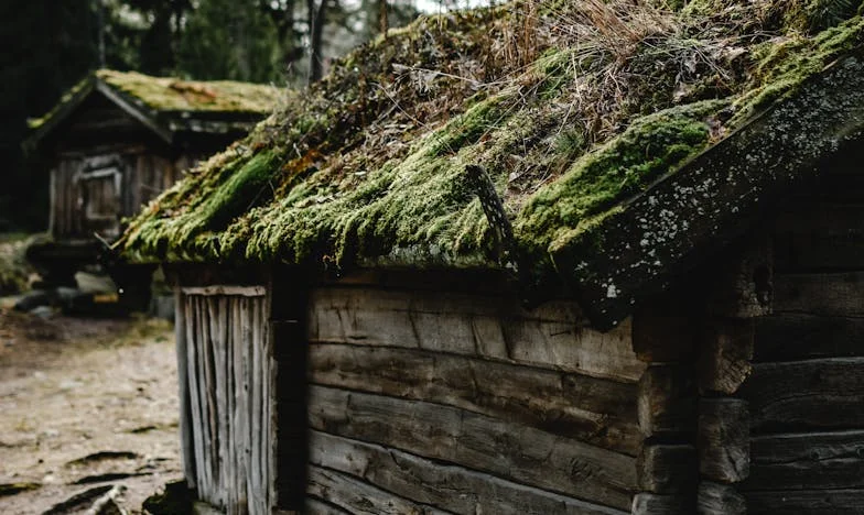 Наследството, което преобърна живота ни: История за доверие, завист и истина