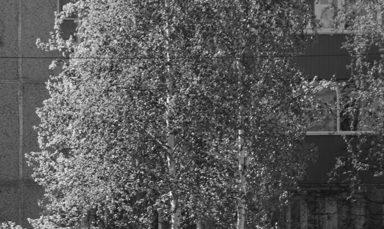 „Събирай си багажа, тръгваме си у дома!” – Една неделна визита при тъщата, която преобърна живота ми