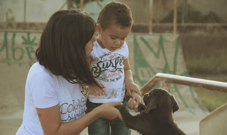 Сенките на тавана: Преломният момент на Емилия
