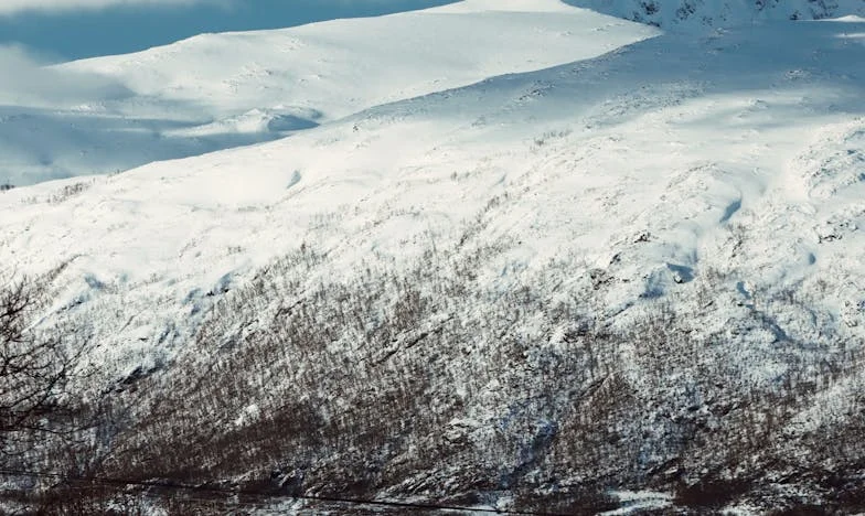 Трябваше да го видя по-рано: Историята на една свекърва и завещанието