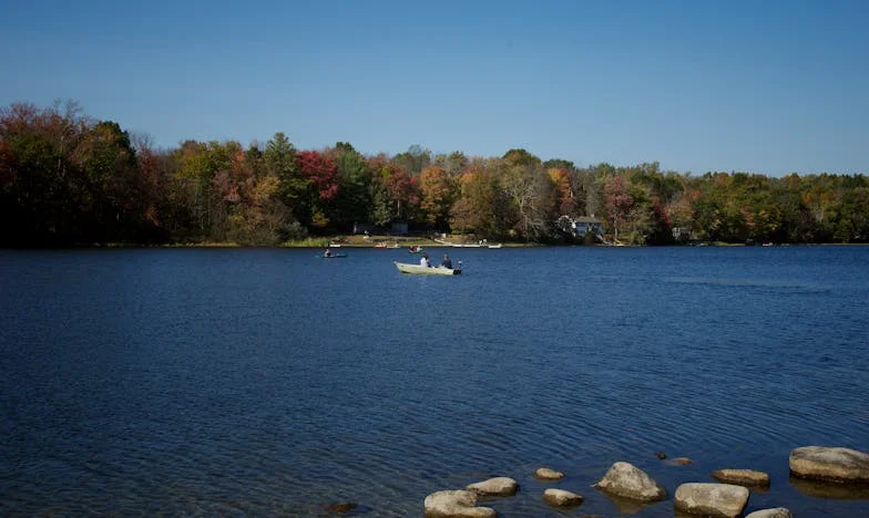 Годината на разлома: Историята на едно българско семейство