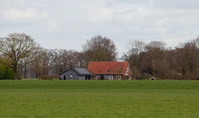 „Майко, вече ще спиш в кухнята“: Как се превърнах в чужда в собствения си дом