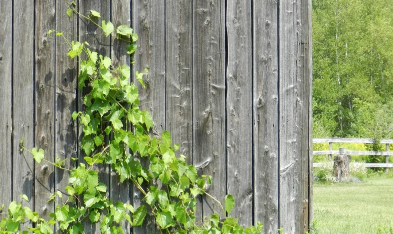 Няма да ти дам да се нанесеш в моя апартамент – Никога няма да се отърва от теб!