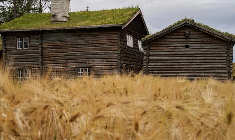 Завръщането на Петър
